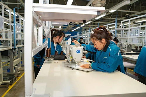 高新區職工勞動和技能競賽在延鋒安道拓工廠成功舉辦，網絡技術服務助力‘五個百萬’競賽落地
